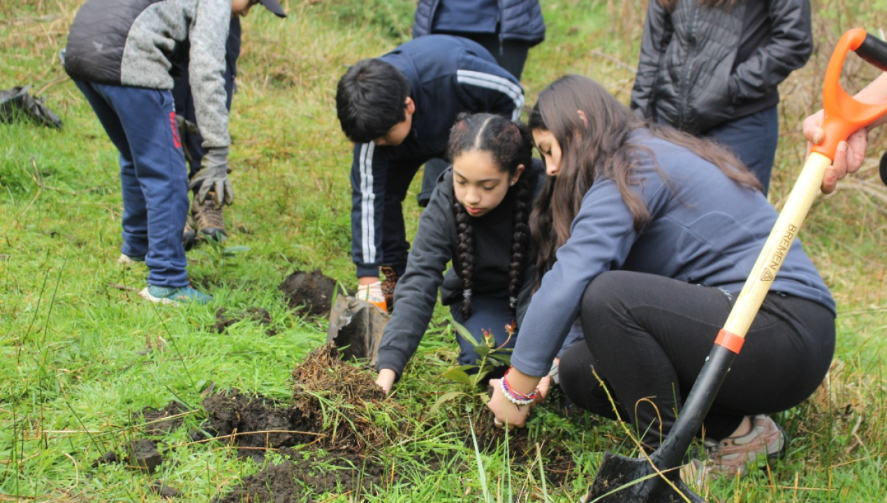 /campana-comunal-de-arborizacion-2025-escuela-ana-molina-de-tranaquepe