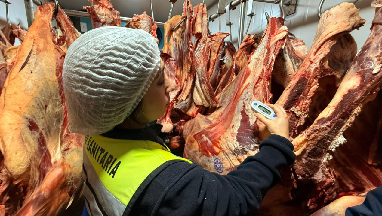 /intensifican-fiscalizaciones-de-productos-carnicos-en-la-provincia-de