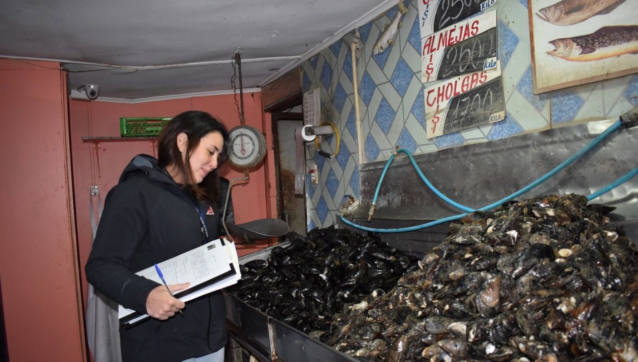 /seremi-de-salud-entrega-balance-de-fiscalizaciones-por-semana-santa-mas-de