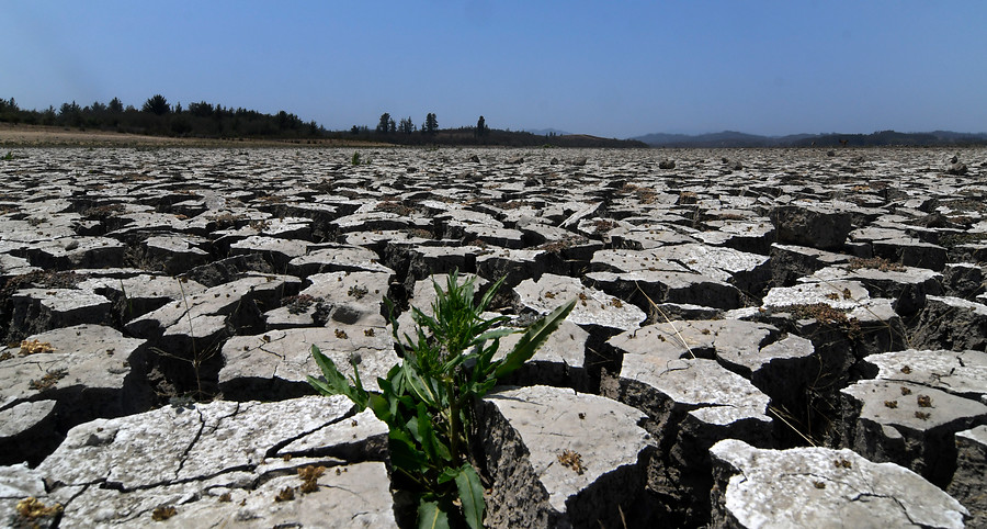 /director-de-indap-ante-la-crisis-hidrica-chile-tiene-agua-pero-la-tiene-mal-distribuida