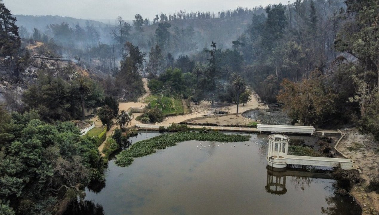 /regionales/region-de-valparaiso/presentan-plan-de-reconstruccion-del-jardin-botanico-de-vina-del-mar-tras