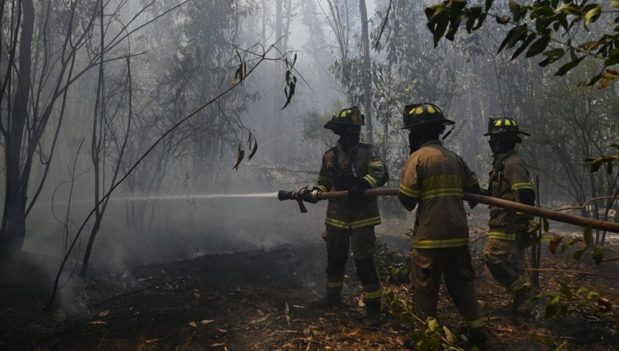 /regionales/region-de-valparaiso/incendios-forestales-al-menos-300-hectareas-consumidas-en-la-region-de