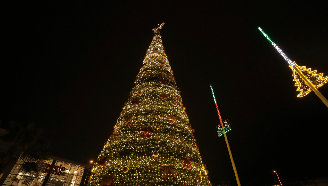 /encienden-tradicional-arbol-navideno-en-explanada-de-la-municipalidad-de